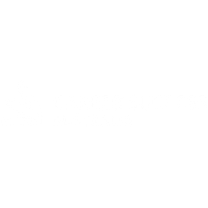 career success